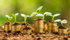 The market faced a "muted" start to 2020 but is now rebounding strongly, the analysis concluded